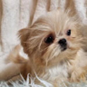 Meet your Posher, Shauna